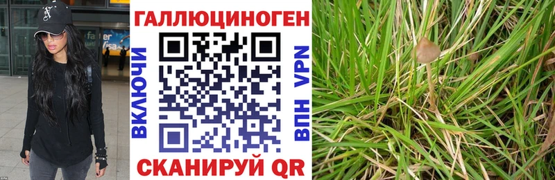 mega рабочий сайт  Ужур  Галлюциногенные грибы Cubensis  наркота 
