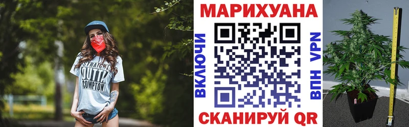 Шишки марихуана OG Kush  Ужур 